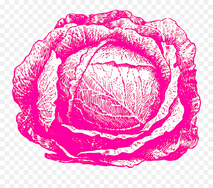 Cabbage Patch Dance Gifs - Pen Drawing Of Cabbage Emoji,Dancing Emoticon Doing Cabbage Patch