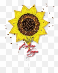 Sunflower - Buy Sunflower Foil Balloon Emoji,Rose Stars Lipdls Emoji