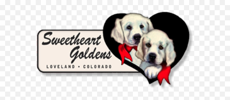English Golden Retriever Puppies For - Collar Emoji,Send Your Friends Cute Cream Labrador Retriver Emojis