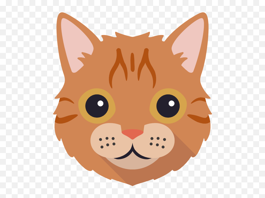 Your Personalized American Wirehair Shop Cat Gifts Yappycom - Yappy Com Brown Cat Emoji,Cat Head Emoji Png