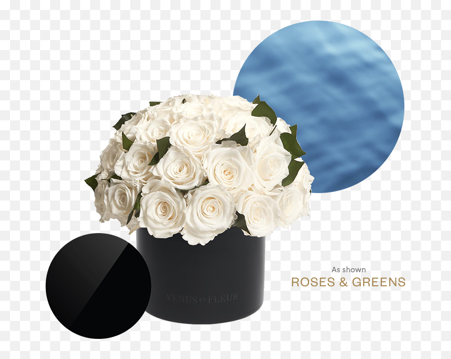 Elements U2013 Venus Et Fleur Emoji,Roses Are Senstive To Emotion