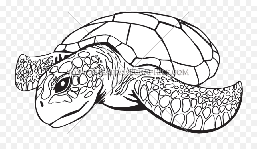 Green Clipart Sea Turtle Green Sea Turtle Transparent Free - Sea Turtle Line Drawing Emoji,Sea Turtle Emoji