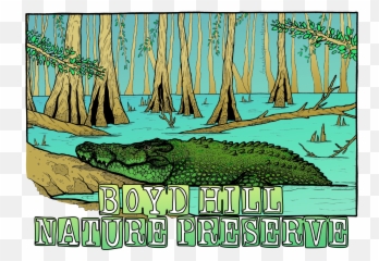 Alligator Swamp Emoji,Facebook Emoticons, Alligator