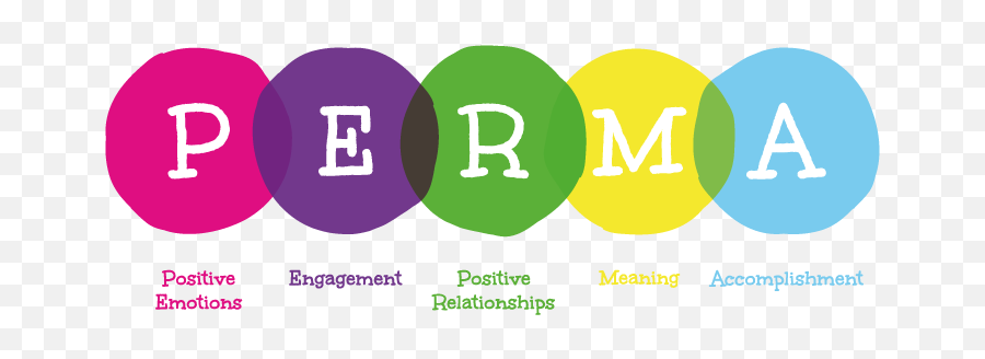 Why We Base Our Positive Education Programmes On The Search Emoji,Positive Emotions Scale Why We Base Our Positive Education Programmes On The Search Emoji,Positive Emotions Scale