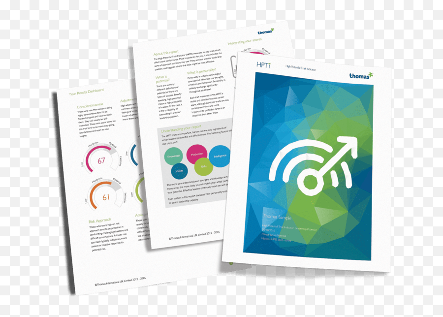 Workplace Personality Tests Thomas International - Personality Report Emoji,Personality And Emotions