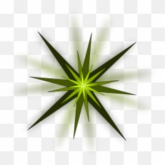 Palm Tree Png Image 2496 - Transparent Small Palm Tree Png Emoji,Palm Tree Emojis