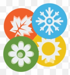 Tree Sun Nature Picture Rain Snow Tree Images - 3019 Season Png Emoji,Emoji Four Seasons