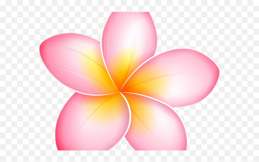 Plumeria Clipart Yellow - Clipart Of Pink Pumeria Flowers Emoji,How To Make A Plumeria Emoticon On Facebook