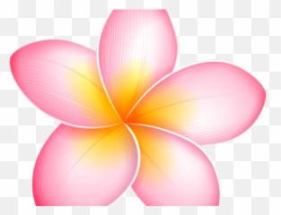 Plumeria Clipart Yellow - Clipart Of Pink Pumeria Flowers Emoji,How To Make A Plumeria Emoticon On Facebook