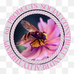 The Auditory Senses - Honey Bees Emoji,Vibrational Frequency Of Emotions Hawkins