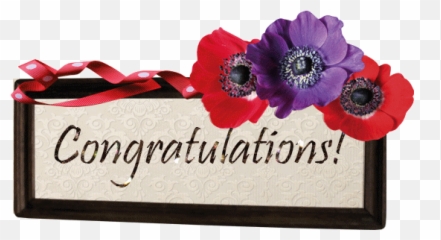 Congrats Rocker Sneha U0026 Belated Happy Birthday - Page 5 Emoji,Anemone Emotions