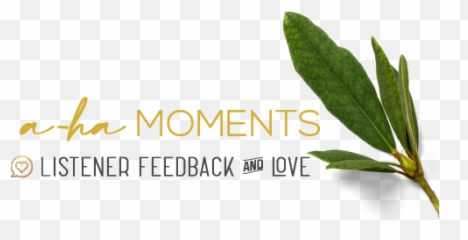 True Life Stories Spirituality And Mental Health Podcast Emoji,Whell Up With Emotions