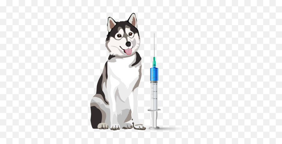 Home Whitby Animal Hospital Emoji,Syringe Needle Emoji