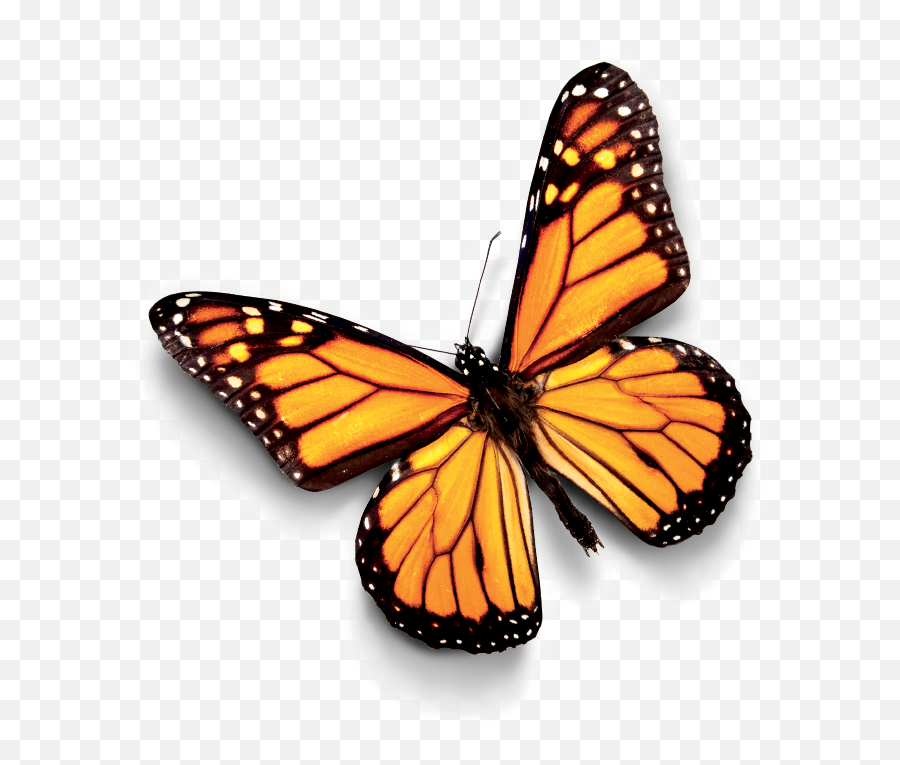 Duarte Resonate - Present Visual Stories That Transform Emoji,Downturned Face Emoji