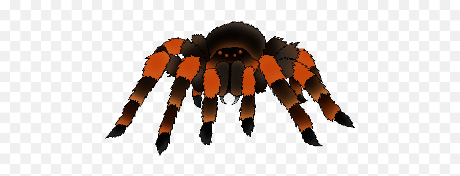 Spider Man Homecoming Sprite Animation - Goliath Birdeater Emoji,Spider Emojis