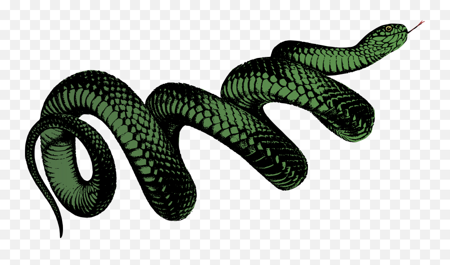 Snake Png Svg Clip Art For Web - Transparent Green Snake Png Emoji,Snake Emoji Png