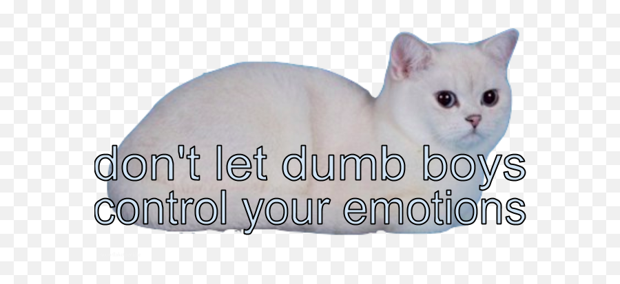 Dont Let - Don T Let Control Your Emotions Emoji,Emotions Tumblr