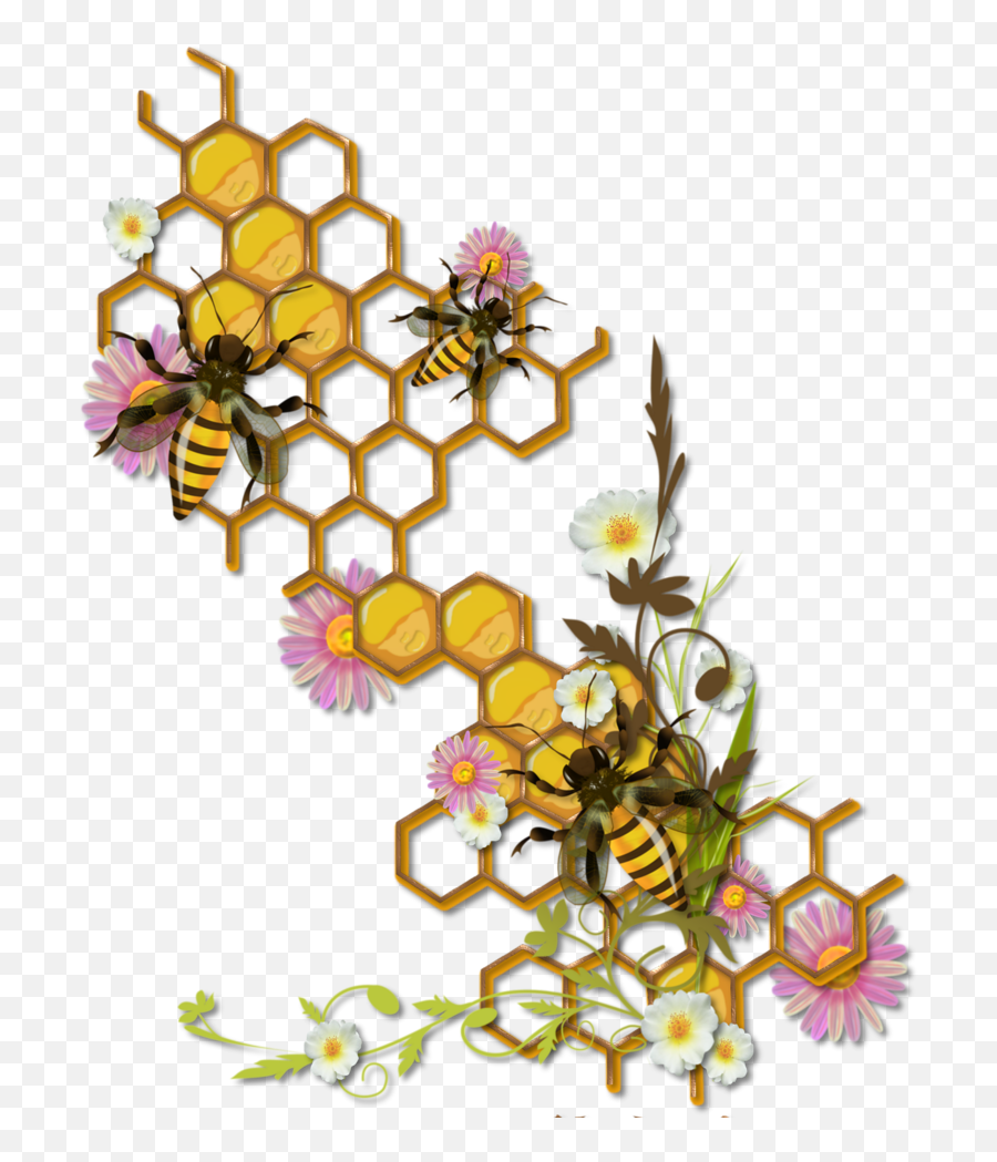 Beesbearshoney - Bee And Honeycomb Clipart Full Size Honeycomb With Bee Drawing Emoji,Honey Bee Emoji