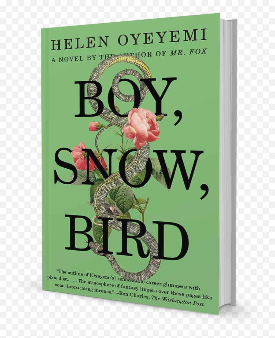 Boy Snow Bird - A Novel By Helen Oyeyemi Boy Snow Bird Helen Oyeyemi Cover Hd Emoji,Boys Emotions Inside Out