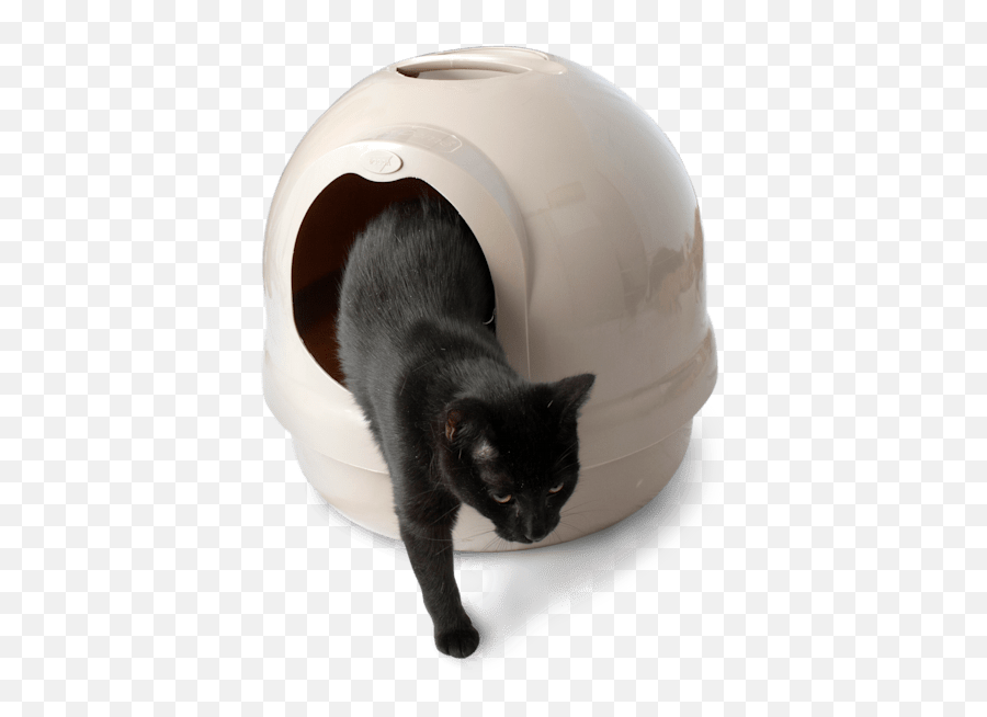 Booda Dome Covered Litter Box In - Cat Covered Litter Box Emoji,Cat Using Litter Box Emoticon