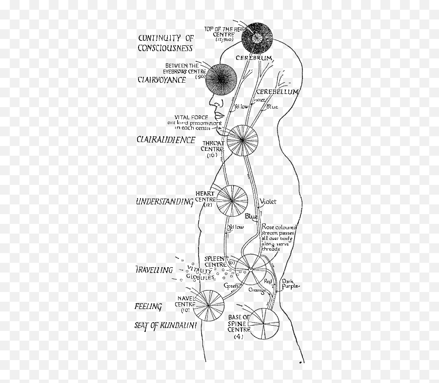 Etheric Double - Etheric Double Ae Powell Emoji,Minshall Emotions