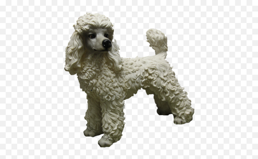 Standard Poodle Miniature Poodle Toy Poodle Puppy - Puppy Poodle Emoji,Dog Emojis Poodle