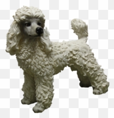 Standard Poodle Miniature Poodle Toy Poodle Puppy - Puppy Poodle Emoji,Dog Emojis Poodle