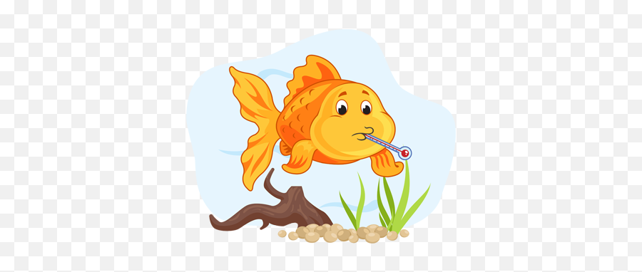 Freedom From Pain Injury Or Disease - Goldfish Emoji,Fish Emotions