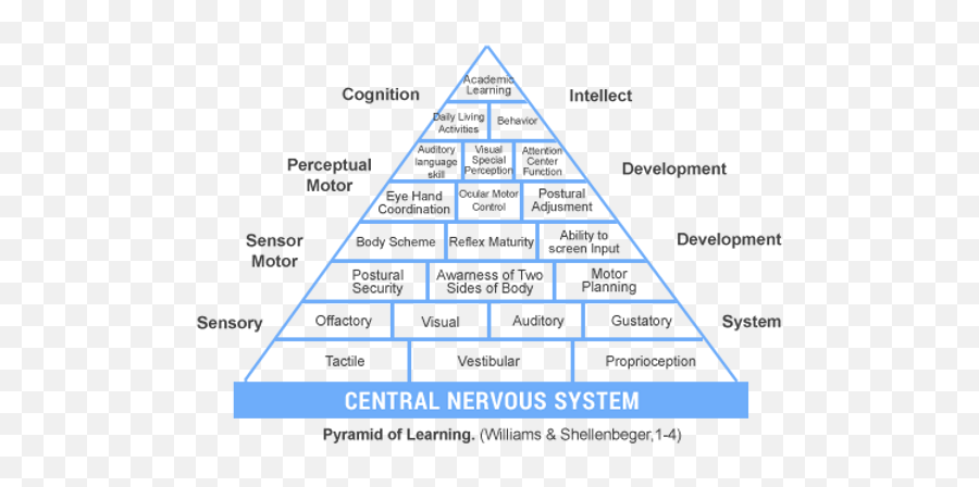 Sensory Integration Guohuatherapy - Sensory Pyramid Emoji,Cognition, Emotion, Physical Triangle Psychology