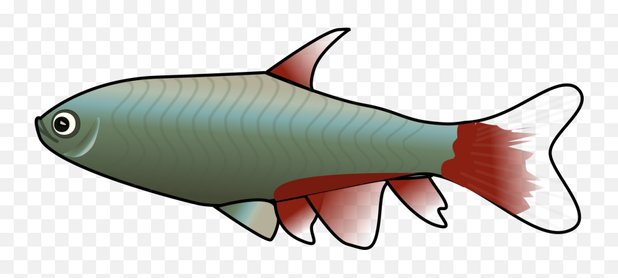 Animated Fish Clipart - Pangasius Hypophthalmus Emoji,Tropical Fish Emoji