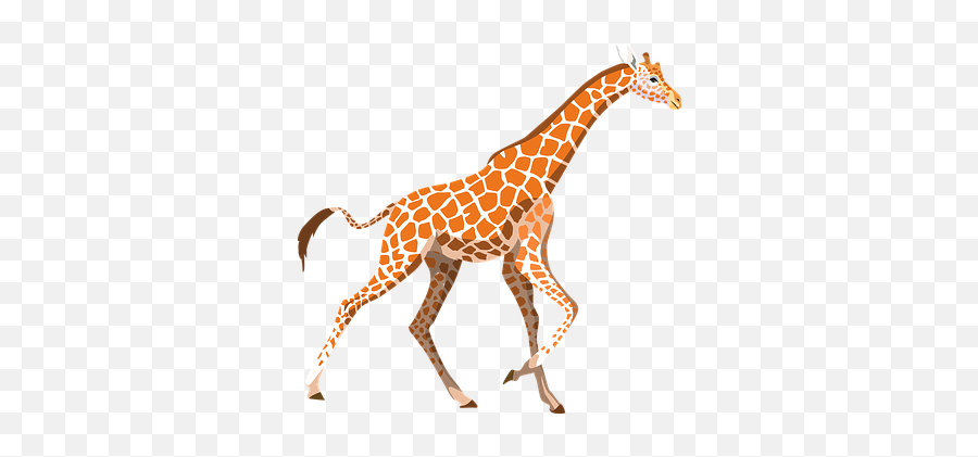 Kostenlose Nacken Und Giraffe - Giraffe Clipart Emoji,Jirafe Emojis Png