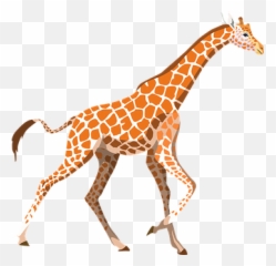 Kostenlose Nacken Und Giraffe - Giraffe Clipart Emoji,Jirafe Emojis Png