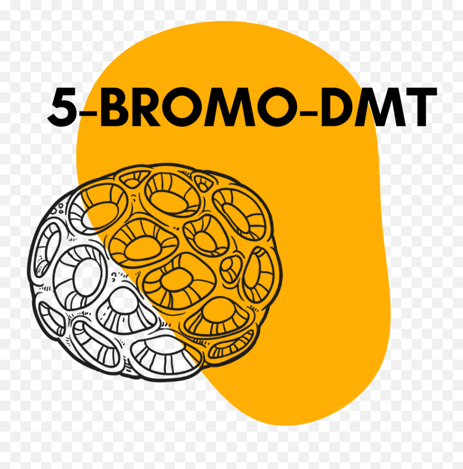 What Is 5 - Bromodmt Spongebob Dmt Tripsitter Dot Emoji,Spongebob Emoticon Copy And Paste