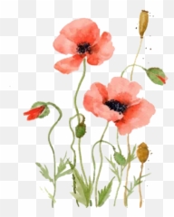 Sticker Pack - Stickers Cloud Emoji,Anemone Emotions