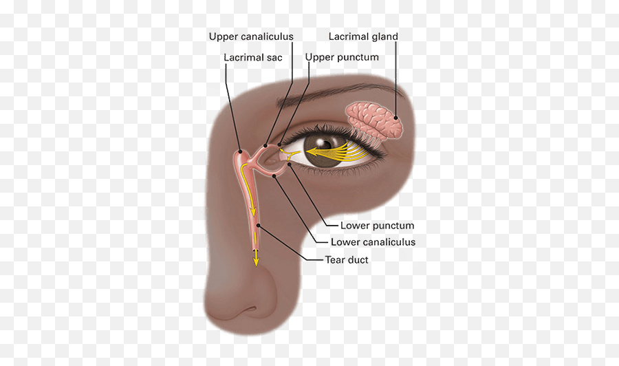 Dry Eyes Las Vegas Dry Eye Las Vegas Ideal Eyecare Emoji,Without You Today's Emotions Are The Scurf Of Yesterday