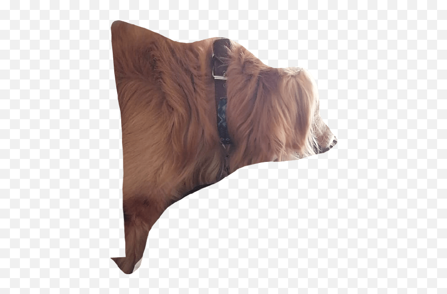 Toby Bb - Dog Supply Emoji,Make Your Own Emoji Pillow