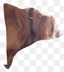 Toby Bb - Dog Supply Emoji,Make Your Own Emoji Pillow