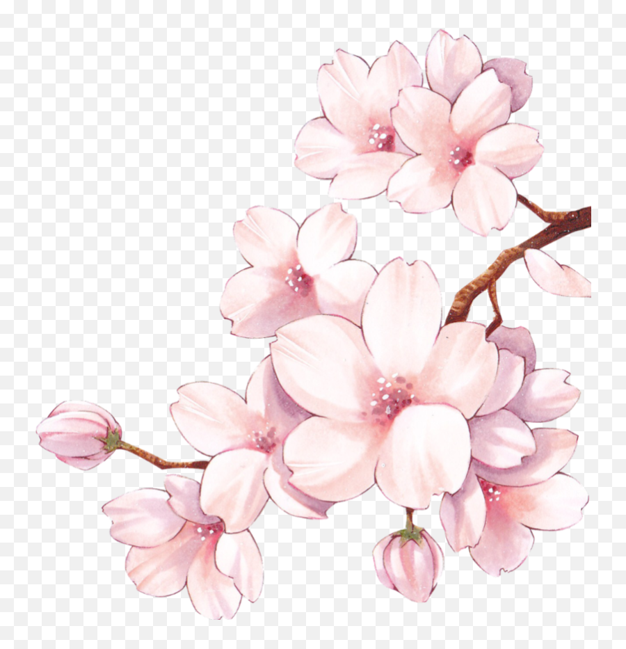 Popular And Trending Cherry - Blossom Stickers Picsart Anime Garotas Rosa Emoji,Cherry Blossom Emoji