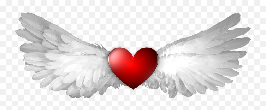 Free Photo Heaven Heart Wings Shape - Barracuda Heart Emoji,Emotions And Wings