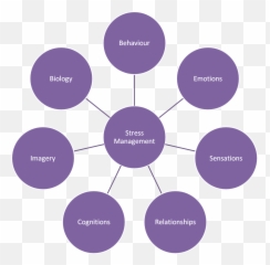 Download Stress Management In Organisation Notes On Stress - Stress Management In Organisation Emoji,Stress And Emotions