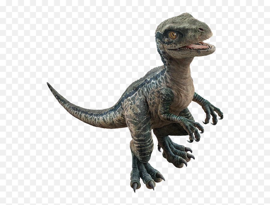 Raptorsquad Sticker By Fortographer On Instagram - Jurassic World Raptor Squad Baby Emoji,Dinosaur Emojis Android