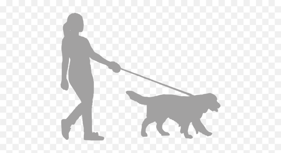 Author The Good Vet And Pet Guide Page 3 - Transparent Dog Walking Silhouette Emoji,Adorable Snake Emotion