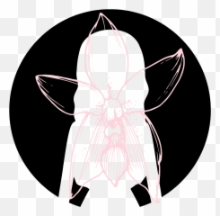 Vagina Gifs - Get The Best Gif On Giphy Beetle Emoji,Zipped Lip Emoticon Whatsapp