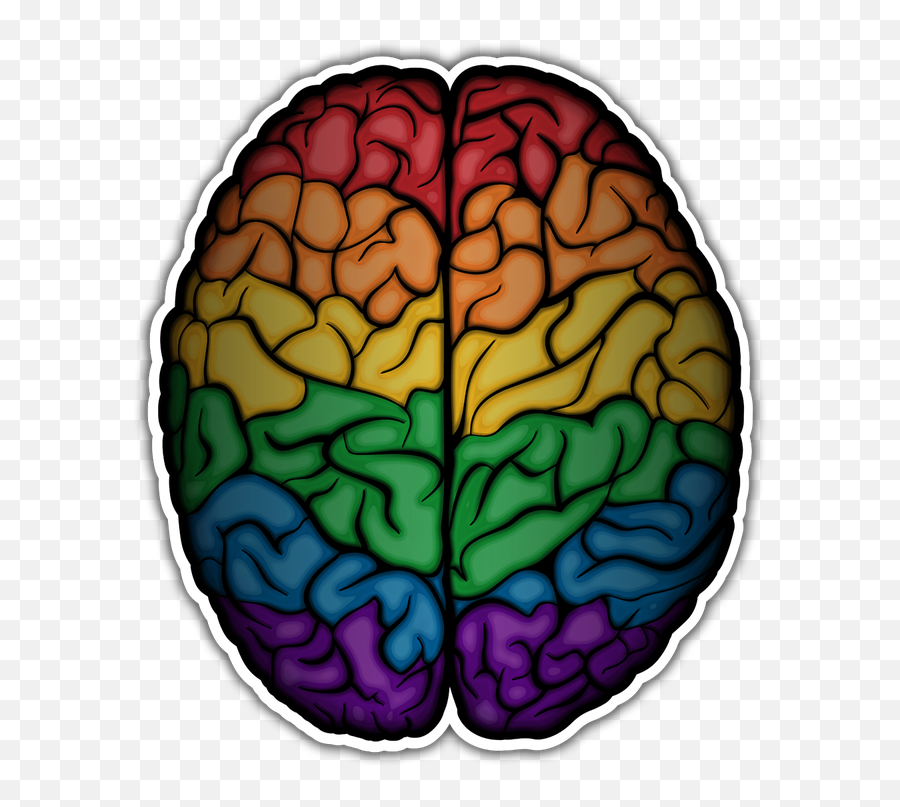 Rainbow Brain Gifts U0026 Gear Lgbtq Pride How Do You Rock - Cerebro Con Colores Lgbt Emoji,Rainbow Flag Facebook Emoticon 2017