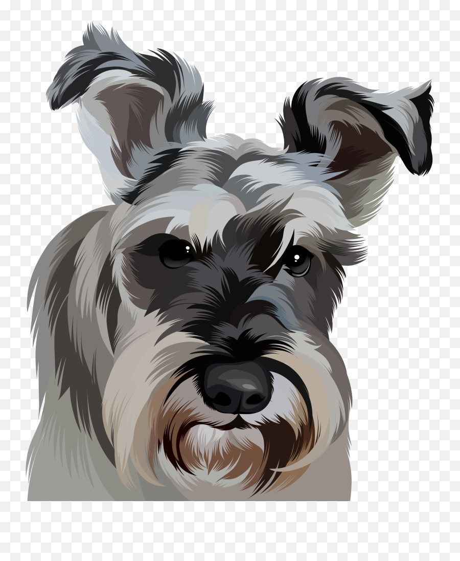 Portrait Gallery - Vulnerable Native Breeds Emoji,Mini Schnauzer Emojis