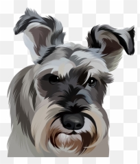Portrait Gallery - Vulnerable Native Breeds Emoji,Mini Schnauzer Emojis