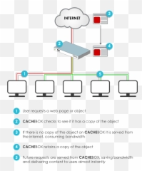 Wp Rocket Review 2020 It Loads My Site In 09 Seconds - Calidad De Servicio Internet Emoji,Disable Emoticons Aim 7