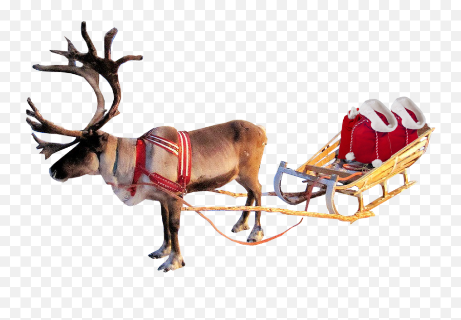 Santa Sleigh Png Clipart - Santa And Reindeer Transparent Sleigh With Reindeer Png Emoji,Sleigh Emoji