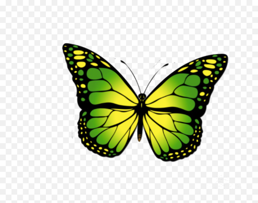 Blue Butterfly Png - Photo 477 Free Png Download Image Emoji,2 Blue Butterfly Emojis
