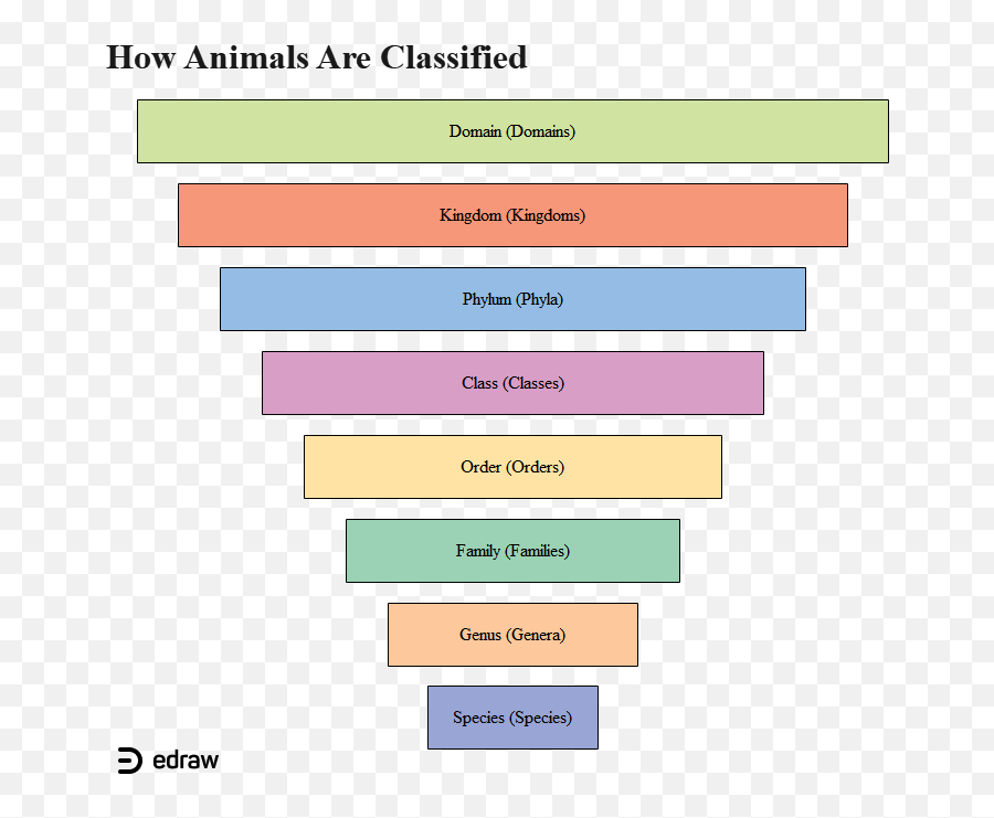 How Animals Are Classified Edrawmax Editable Template In Emoji,Dictionary Of Emotions And Feelings Pdf